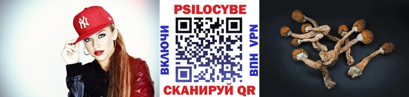 Псилоцибиновые грибы мухоморы  Купить закладки  Зуевка 