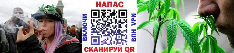 Бошки марихуана марихуана Купить закладки Зуевка